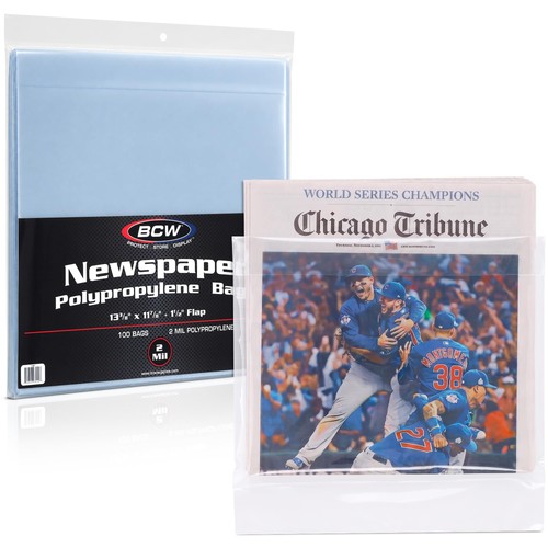 Newspaper bags 100ct - newspaper,